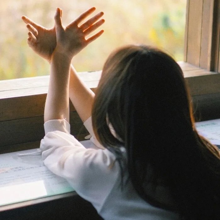 机器肉鸡第七季